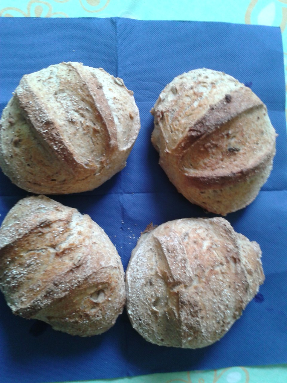 sokmagvas barna kenyér